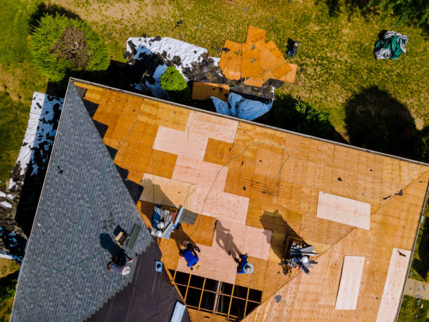 Best Roof Leak Repair  in Seward, AK