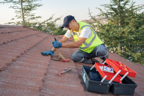 Best Shingle Roofing Installation  in Seward, AK