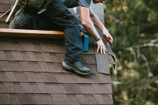 Best Metal Roofing Contractor  in Seward, AK